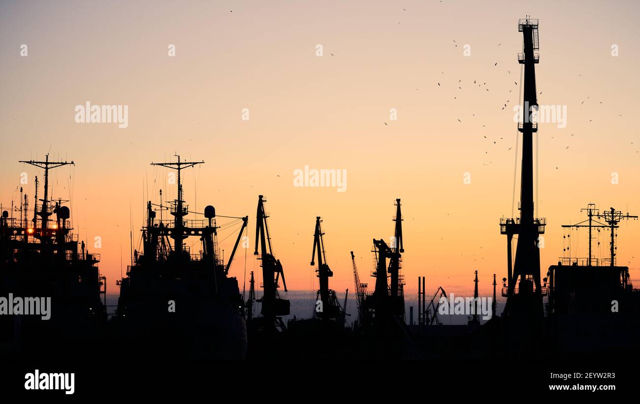 Silhouettes of ships and container cranes in sea port, sunset ...