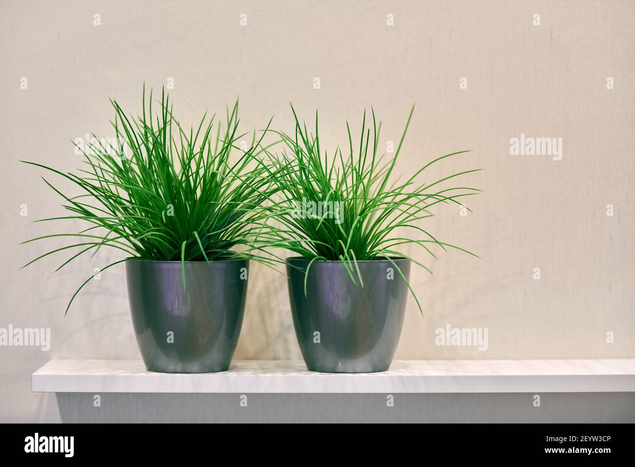 Two artificial green plants pot on shelf. Plastic decorative flora in