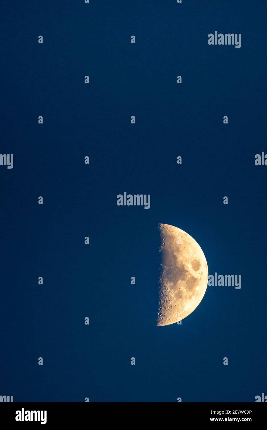 Waning cresent moon and cobalt blue background with copy space, vertical Stock Photo