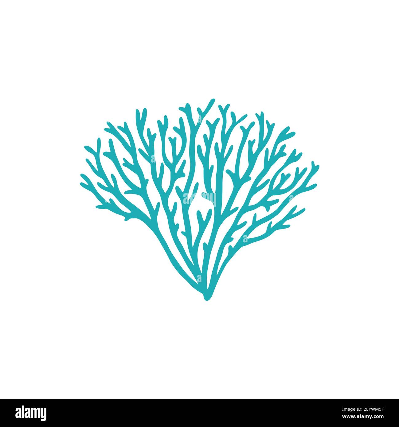 Galaxea sp., acropids stony coral isolated icon. Vector galaxy coral, aquarium seaweed decoration, coral reefs element. Soft underwater plant and tip Stock Vector