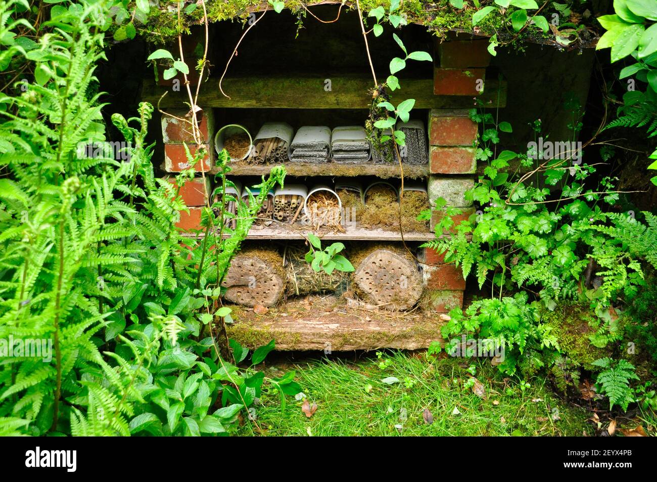 A well stocked insect hotel with a variety of habitats in a green quiet cornerof a Somerset garden. Stock Photo
