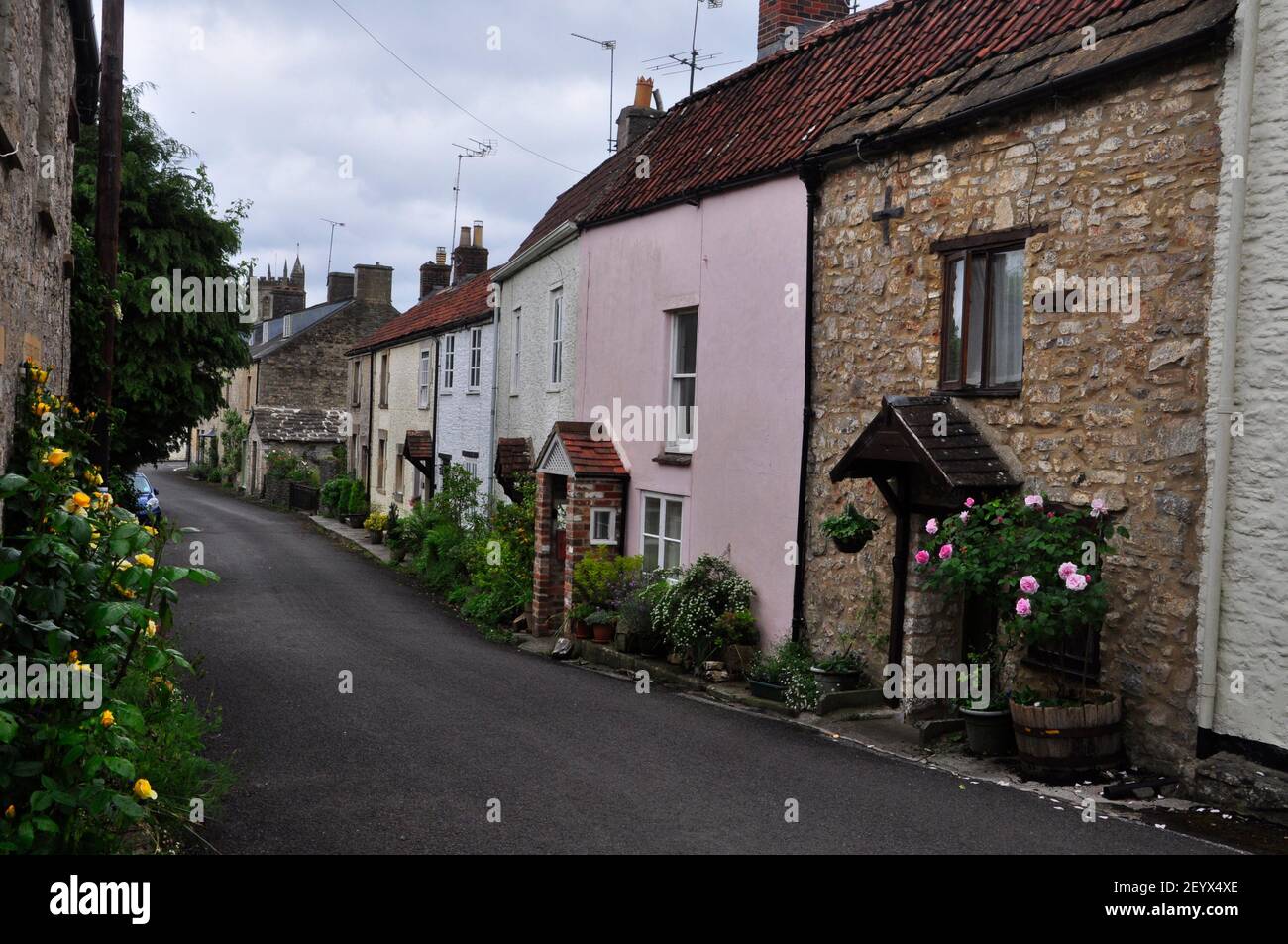 A picturesque row of cottages with roses around the doors in the Somerset village of Nunney with the Church tower in the background. Stock Photo