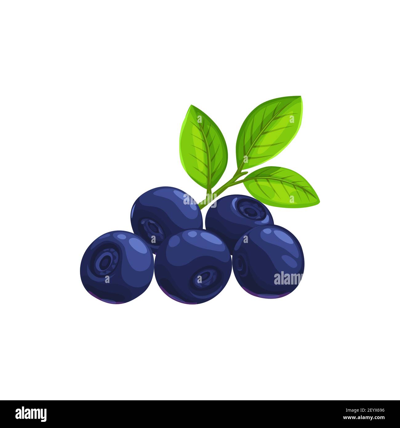 Bilberry fruit with green leaves isolated icon of fresh forest ...