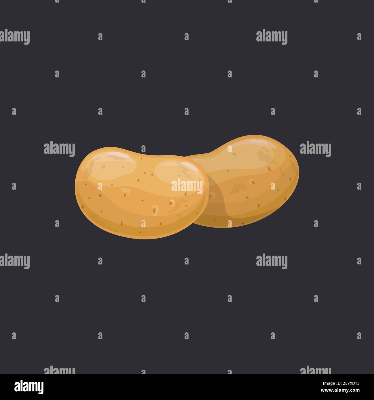 Two tubers potato isolated realistic sweet bulbous. Vector unpeeled large potatoes, brown old or new, whole raw uncooked veggie. Brown sweet potatoes Stock Vector
