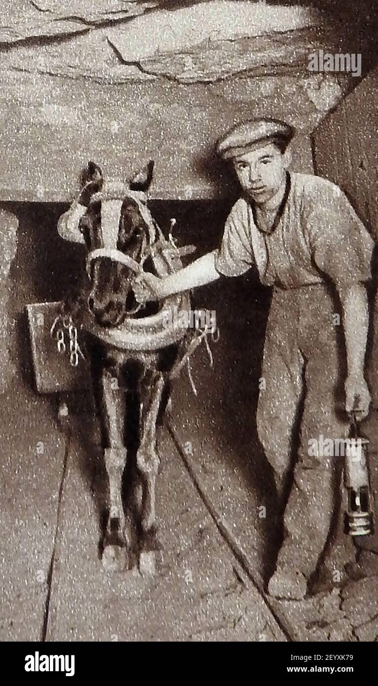 An old photograph (circa 1940's) showing a pit pony and his handler in a British coal mine. Stock Photo