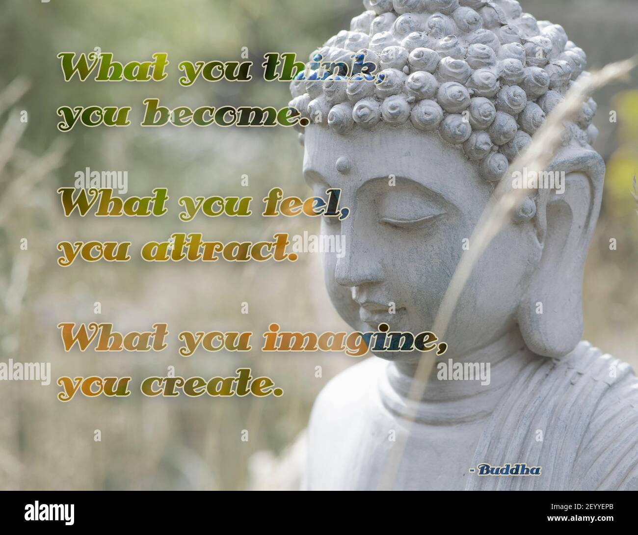 Inspirational quote from Buddha about the mind. 'What you think, you become. What you feel, you attract. What you imagine, you create.' Stock Photo