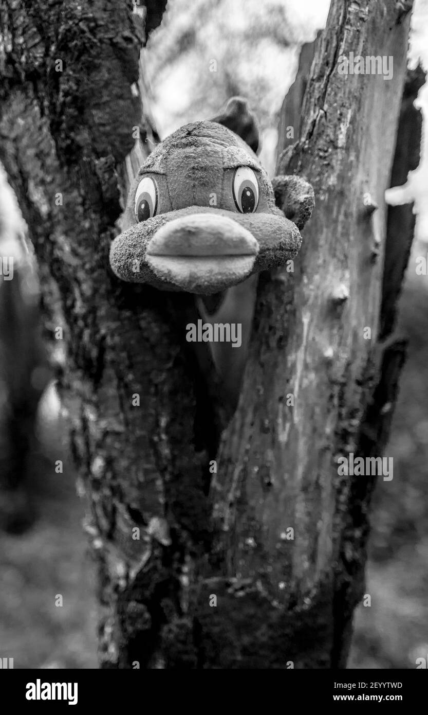 Stuffed toy of a fish placed in a tree trunk. Stock Photo