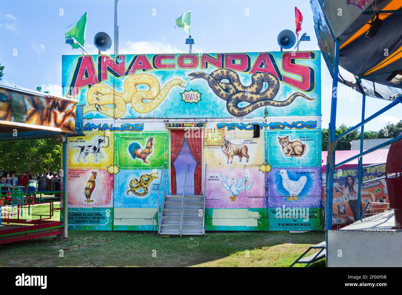 Animal sideshow at a fair in Yucatan, Mexico. Stock Photo