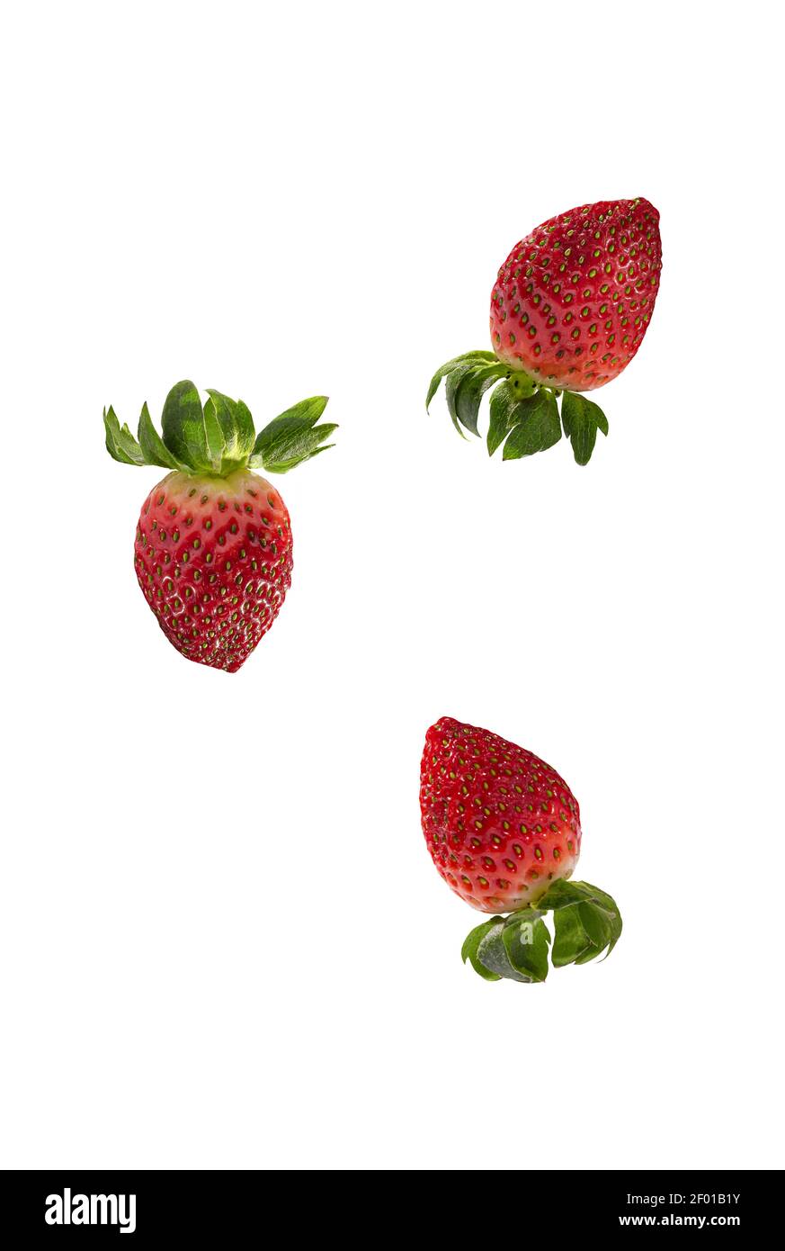 Three whole fresh beautiful red strawberries isolated on white background. Vertical orientation. Copy space. Stock Photo