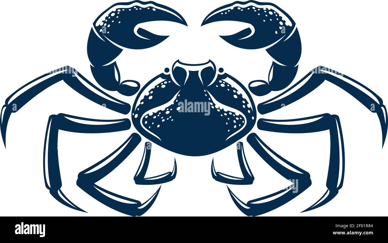 Porcelain crab isolated blue decapods crustacean with pincers. Vector seafood, hard shell marine animal Stock Vector