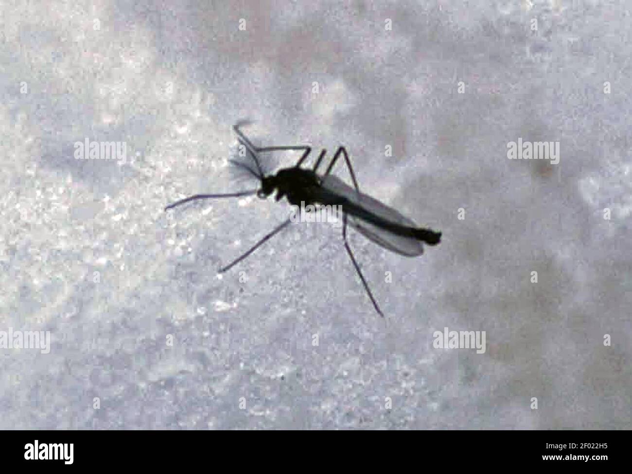 University of Minnesota researchers brave cold waters as they catch