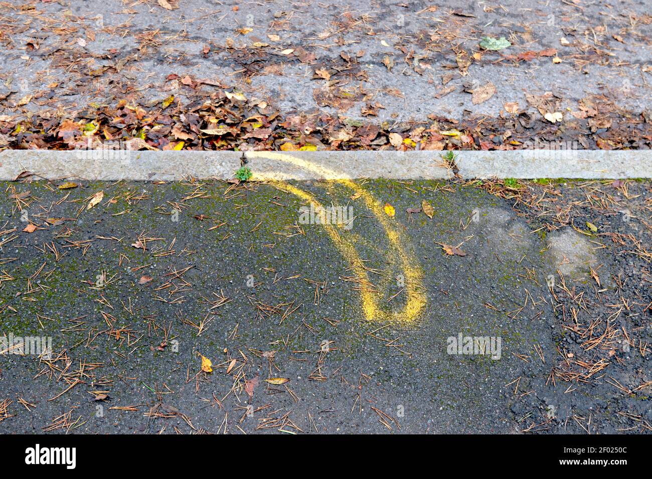Pavement and road showing yellow spray paint marking for a new driveway