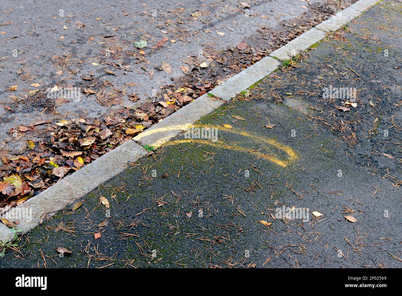 Pavement and road showing yellow spray paint marking for a new driveway