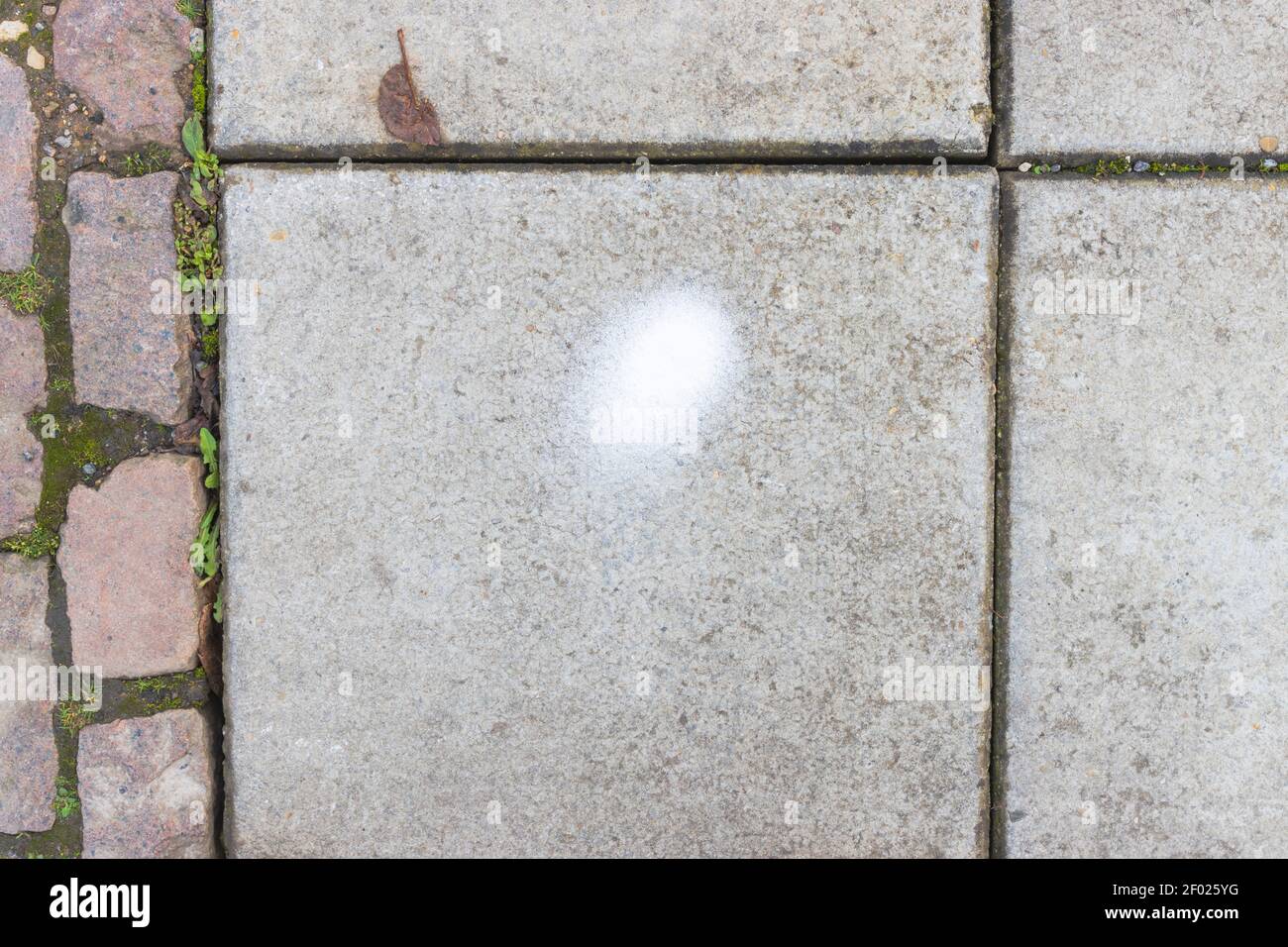A grey concrete pavement slab with a white spray paint on it, with