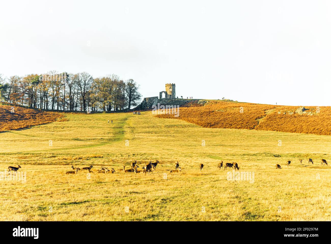 Shows red deer, a forest, Old John Tower, people walking across the hill. Landscape area with a hill. Mars-like brown, orange and green colours. Stock Photo