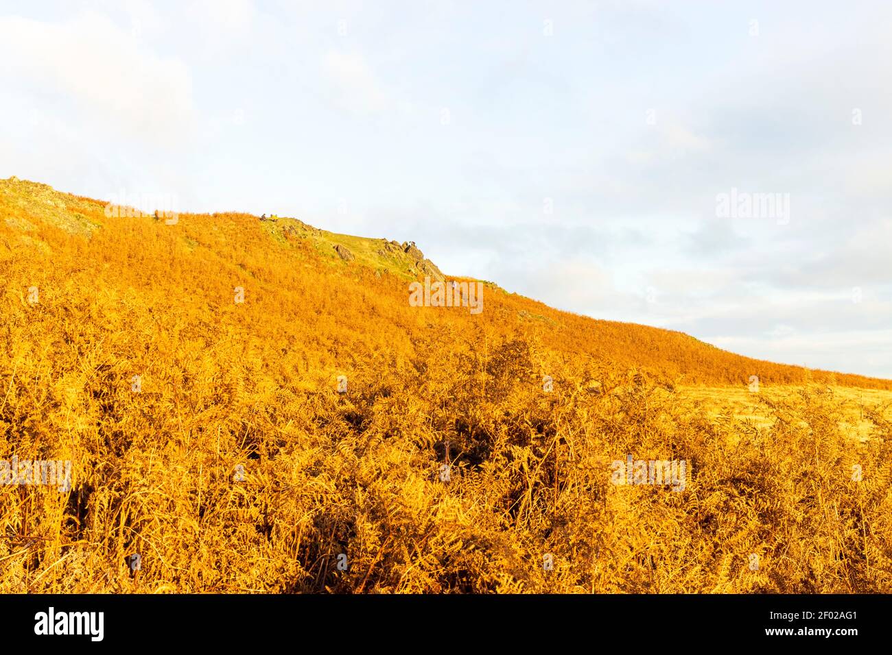 Large landscape grassy area, with a hill in the background. Blue and mars-like brown and orange colours. Stock Photo