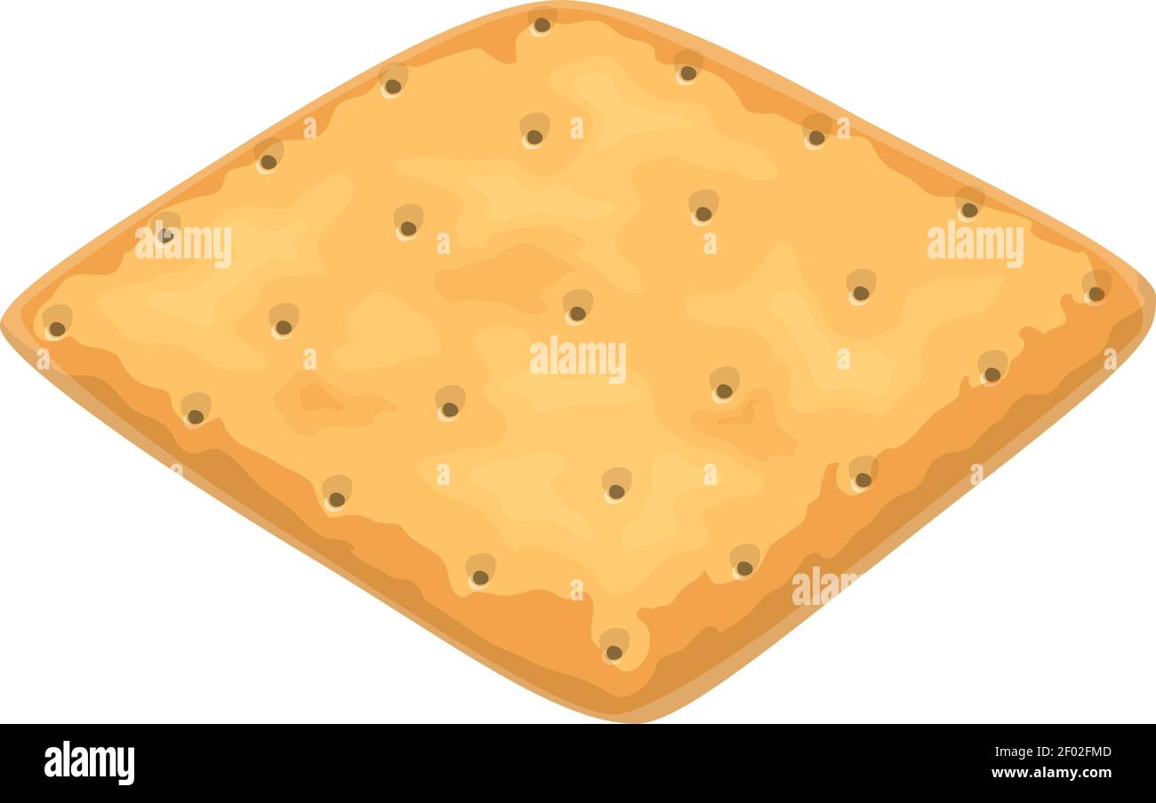 Square cracker isolated wholemeal oat biscuit. Vector wheat salty