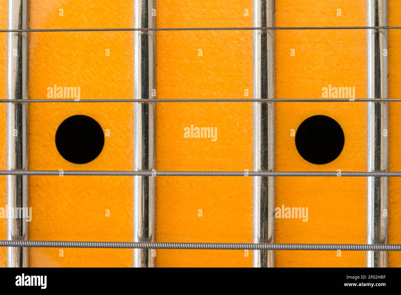 A macro closeup of strings and frets on the maple neck of a Fender Telecaster Modern Player electric guitar Stock Photo