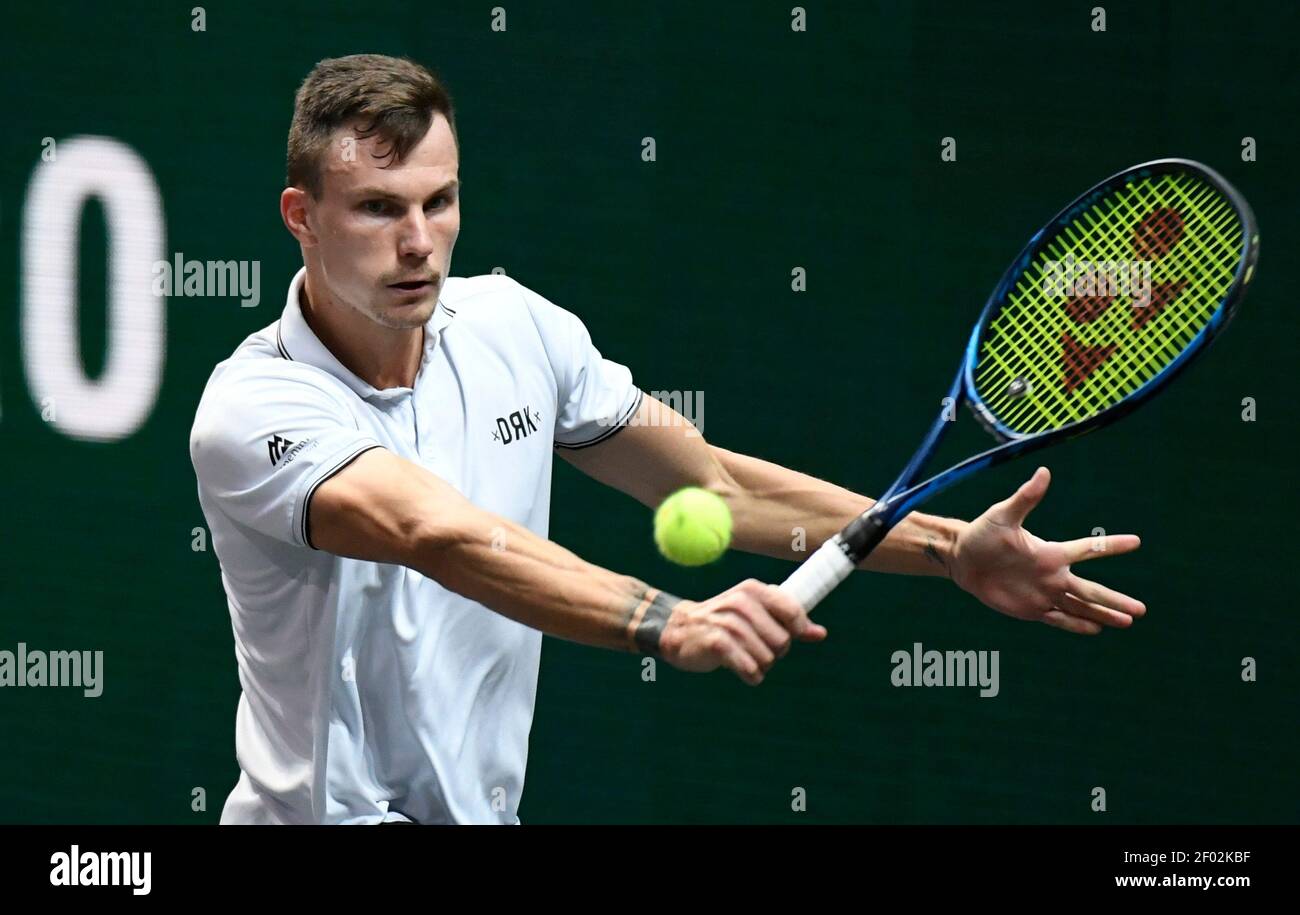 теннис роттердам 2024 сетка мужчины