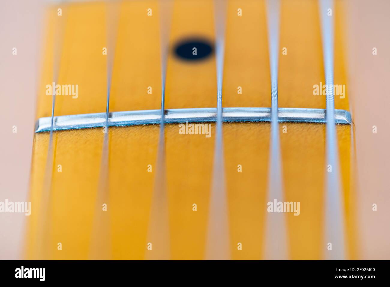 A macro closeup of strings and a fret on the maple neck of a Fender Telecaster Modern Player electric guitar Stock Photo