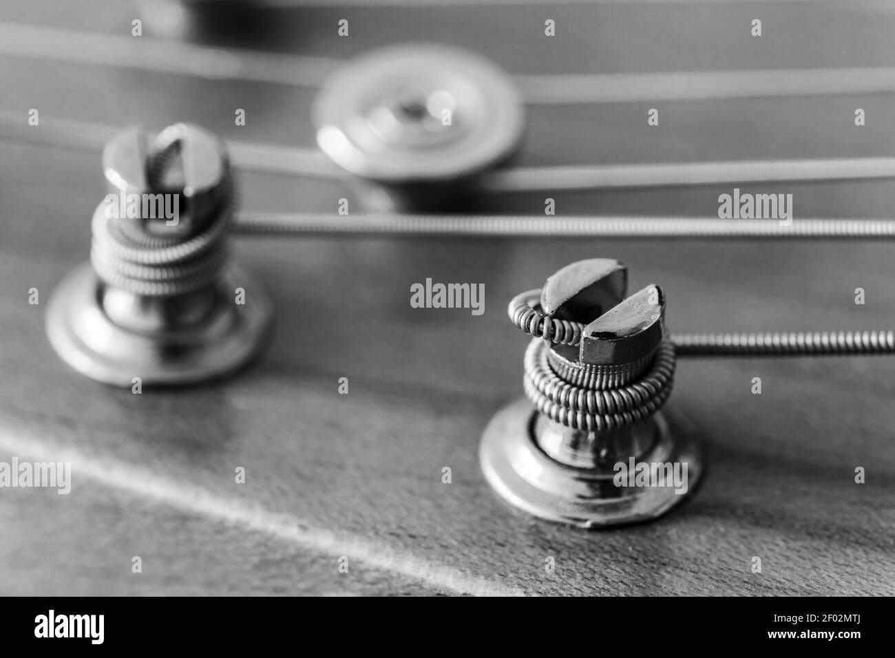 A monochrome macro closeup of tuning posts and strings on the maple headstock of an electric guitar - a Fender Telecaster Modern Player Stock Photo