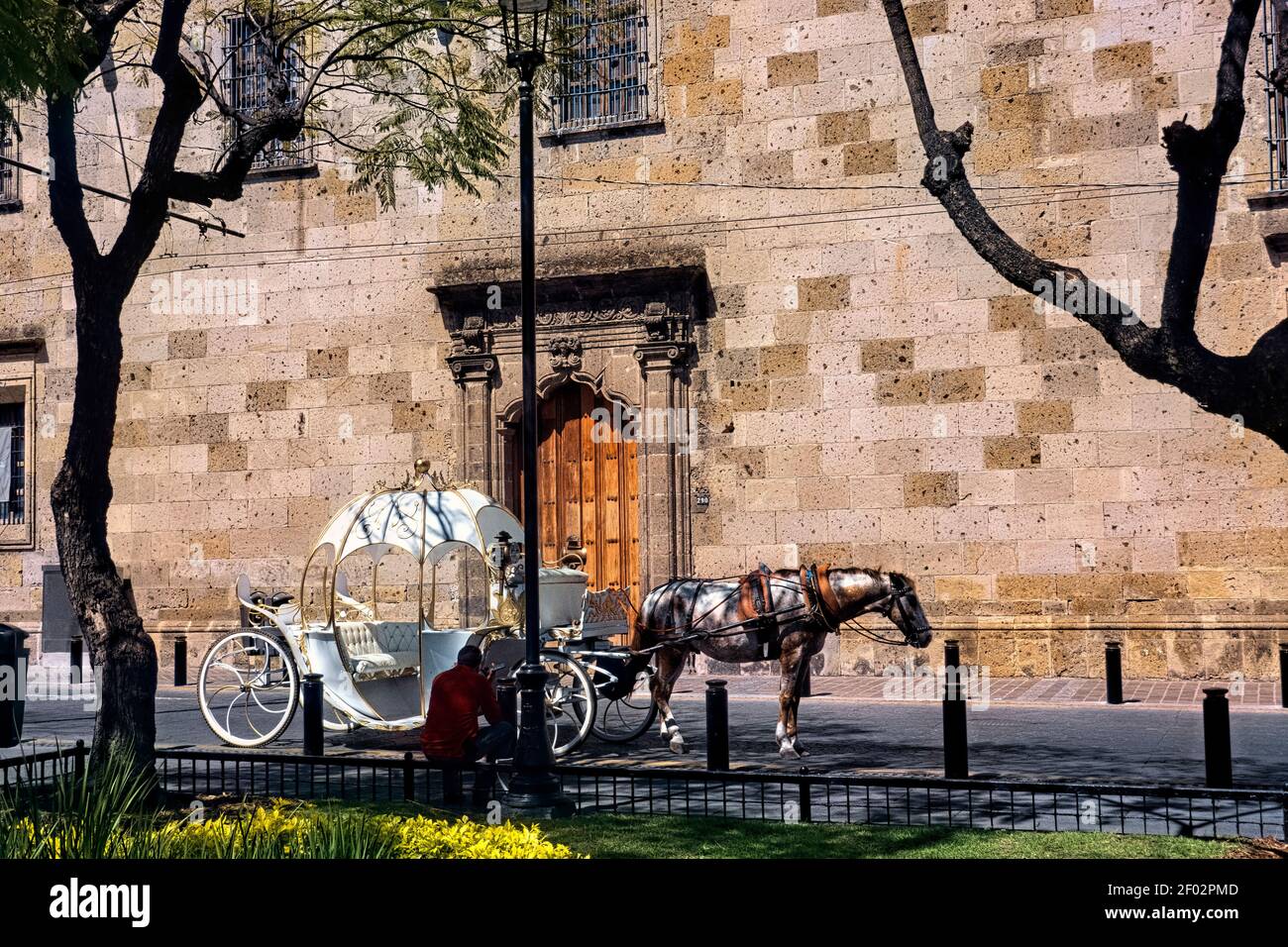 Horse carriage in the historic center, Guadalajara, Jalisco, Mexico