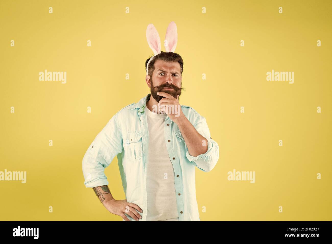 Beard for your face shape. Easter rabbit touch beard yellow background ...