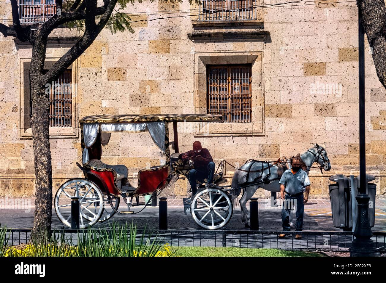 Horse carriage in the historic center, Guadalajara, Jalisco, Mexico