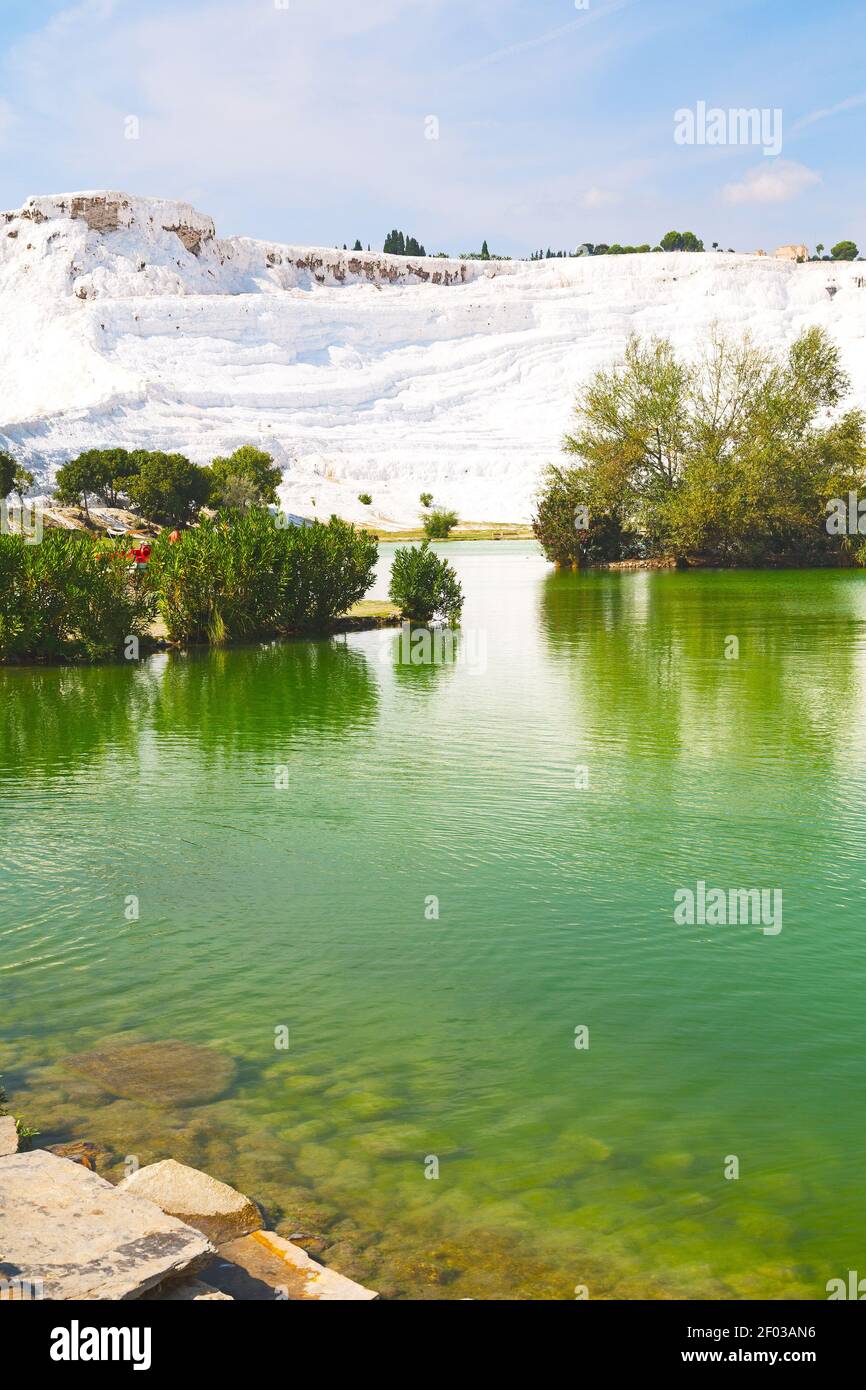 Unique Alamy Unique flower formation hi-res stock photography and images - Alamy