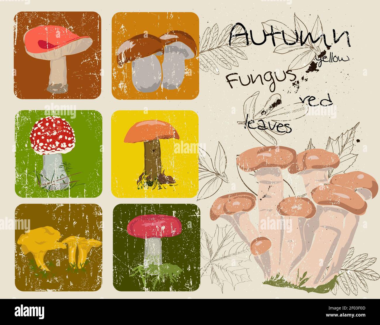 Vintage poster with autumn plants and fungus. Stock Photo