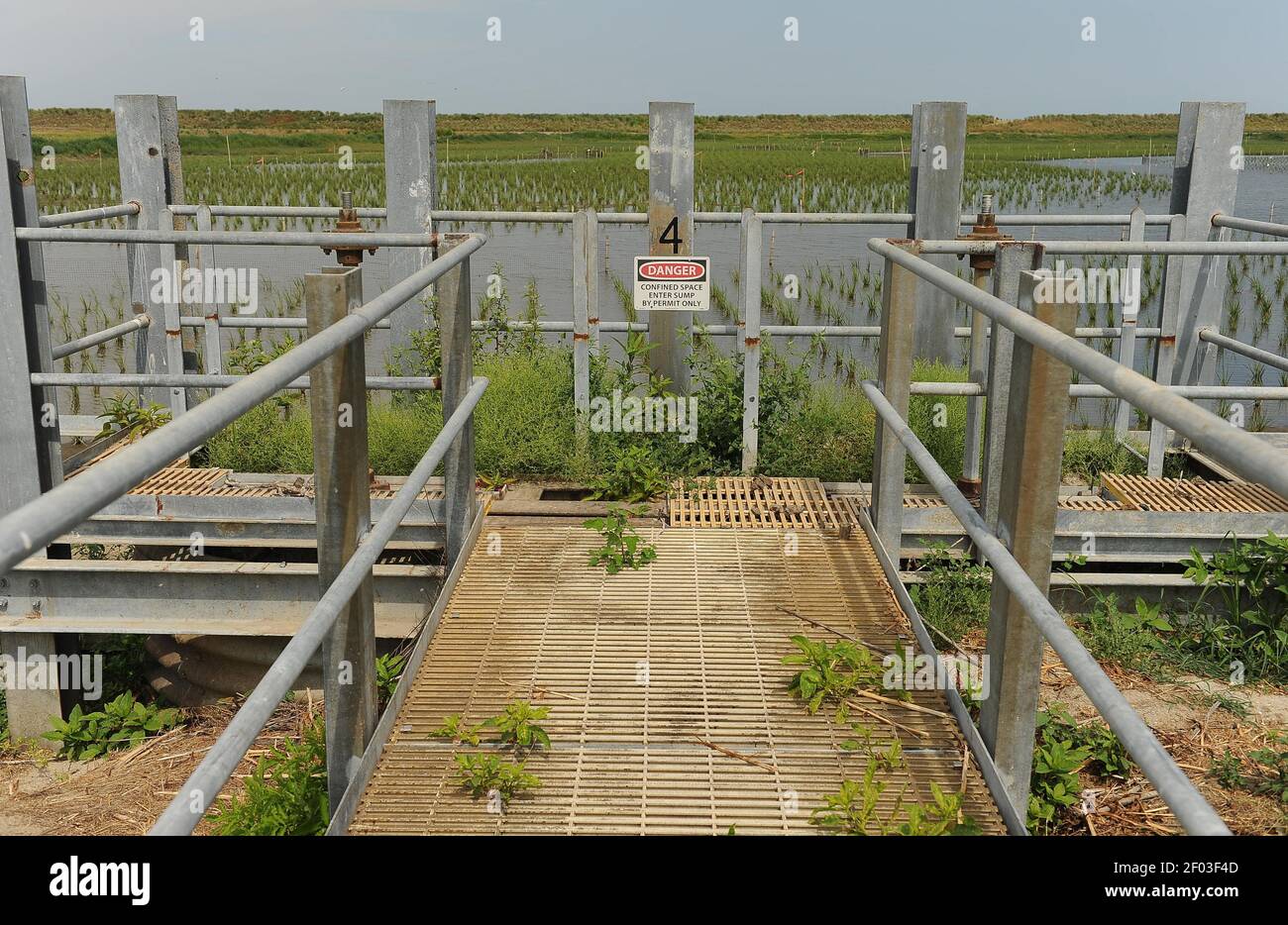 A pumping station is seen perched on the edge of marsh grass that was