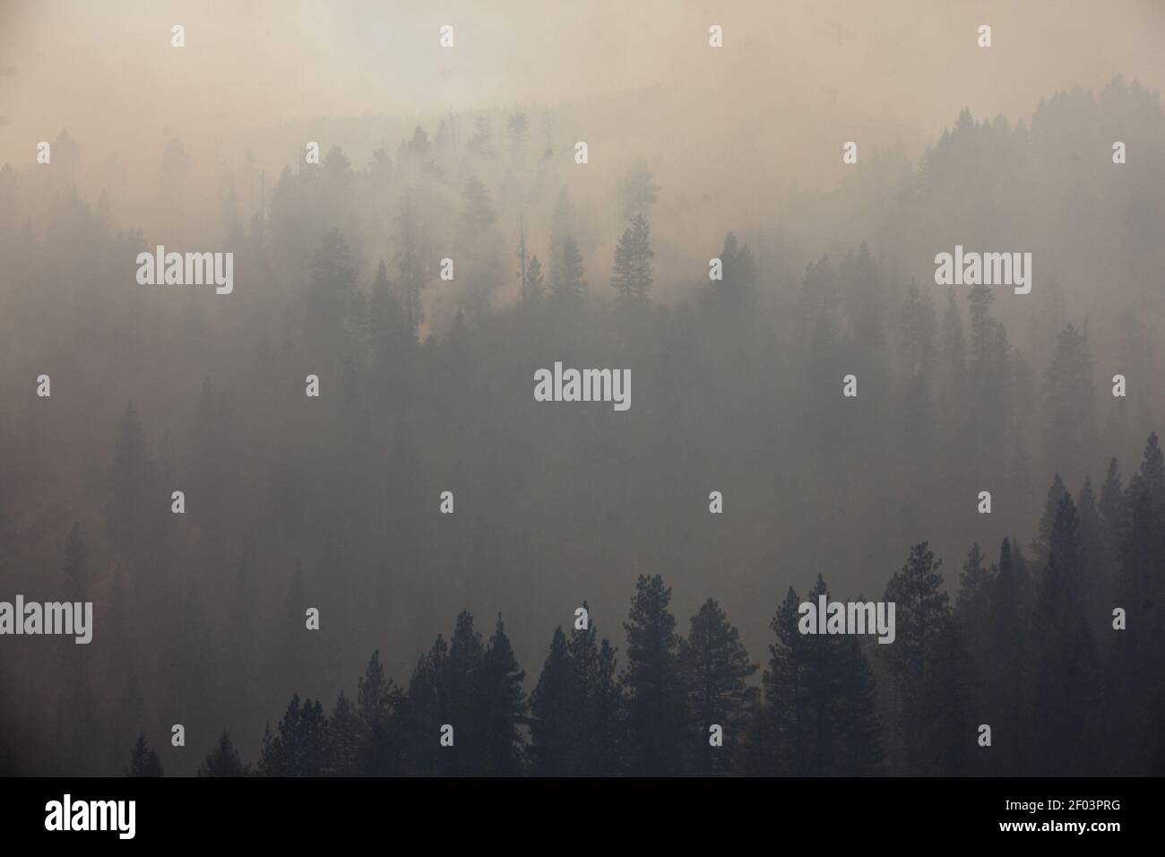 The Trinity Ridge Fire in Idaho has grown to 23,000 acres by Thursday ...