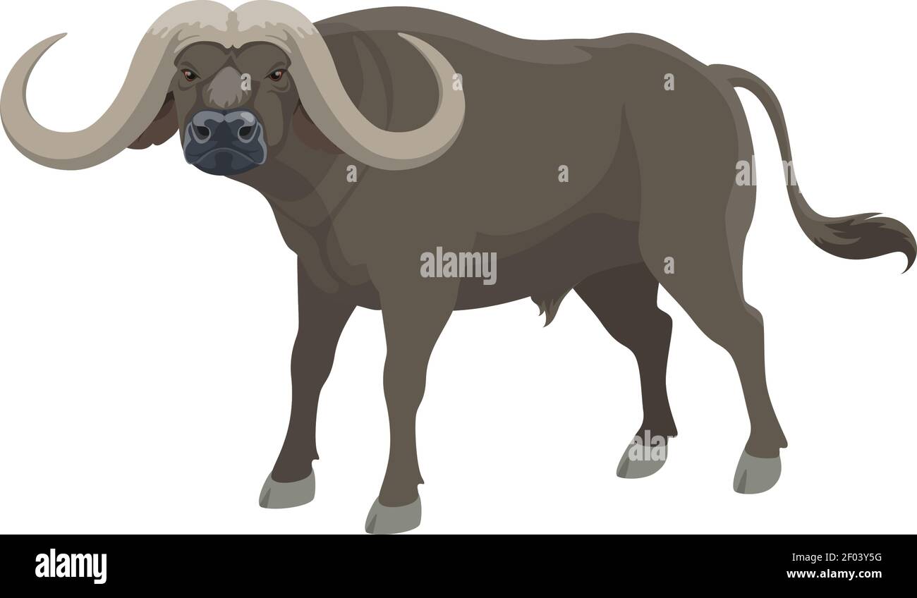 Buffalo wild animal vector isolated icon. African safari hunt or Indian wild  ox bull Stock Vector Image & Art - Alamy