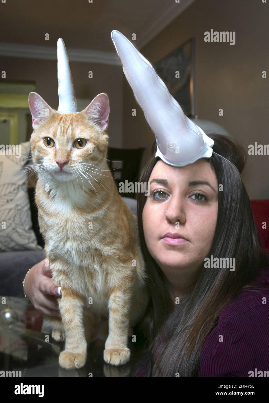 Cat unicorn hat 2025