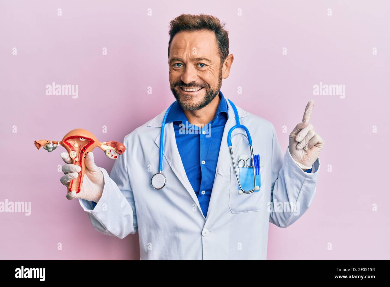 Middle age gynecologist man holding anatomical model of female genital organ smiling happy pointing with hand and finger to the side Stock Photo