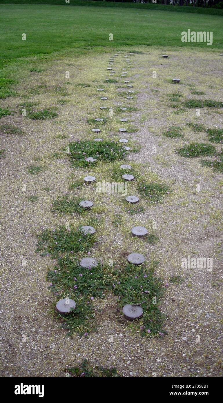 Signs of wooden post holes provide clues as to where buildings once
