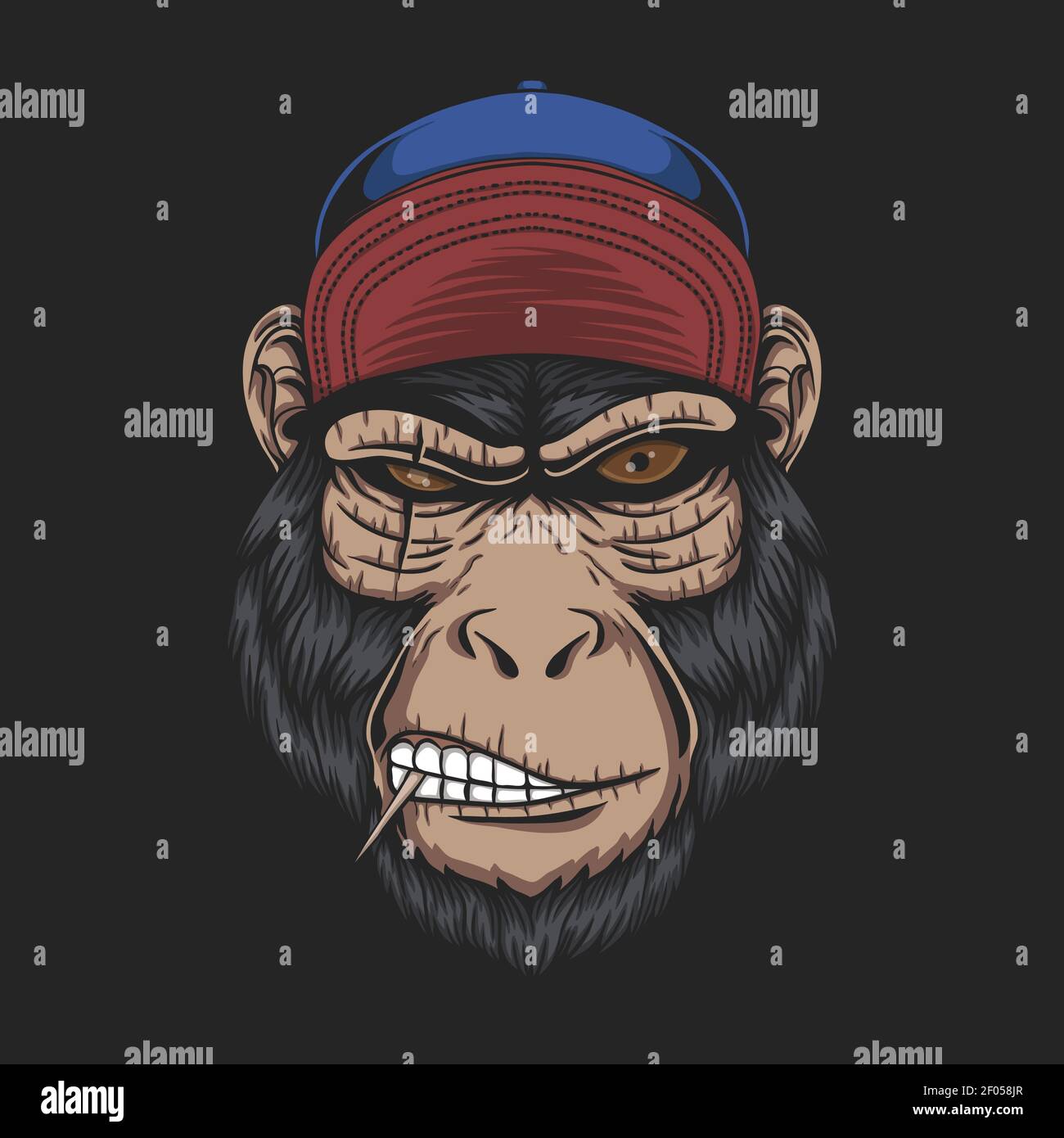 Monkey company cap Clearance
