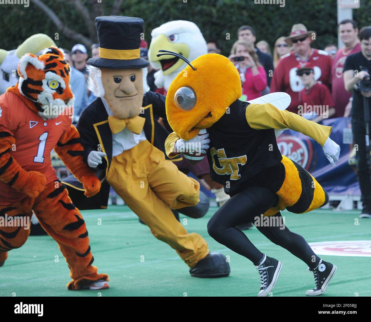 Georgia Tech mascots Buzz tries to run by Wake Forest University's Demon Deacon and the Clemson Tiger during the ACC mascot football game before the start of the ACC Championship game between Georgia Tech and Florida State at Bank of American Stadium in Charlotte, North Carolina, on Saturday December 1, 2012. (Photo by Johnny Crawford/Atlanta Journal-Constitution/MCT/Sipa USA) Stock Photo