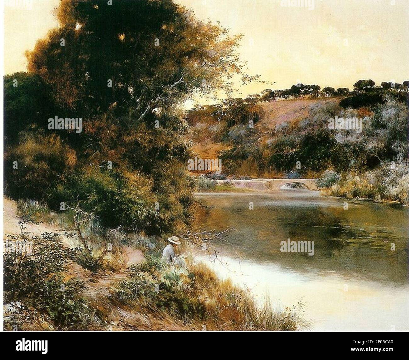 PineloLlull. Stock Photo