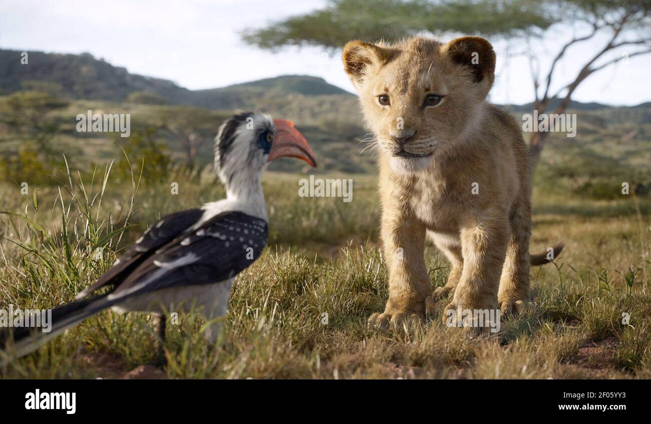 Lion King 2019 Film High Resolution Stock Photography And Images Alamy