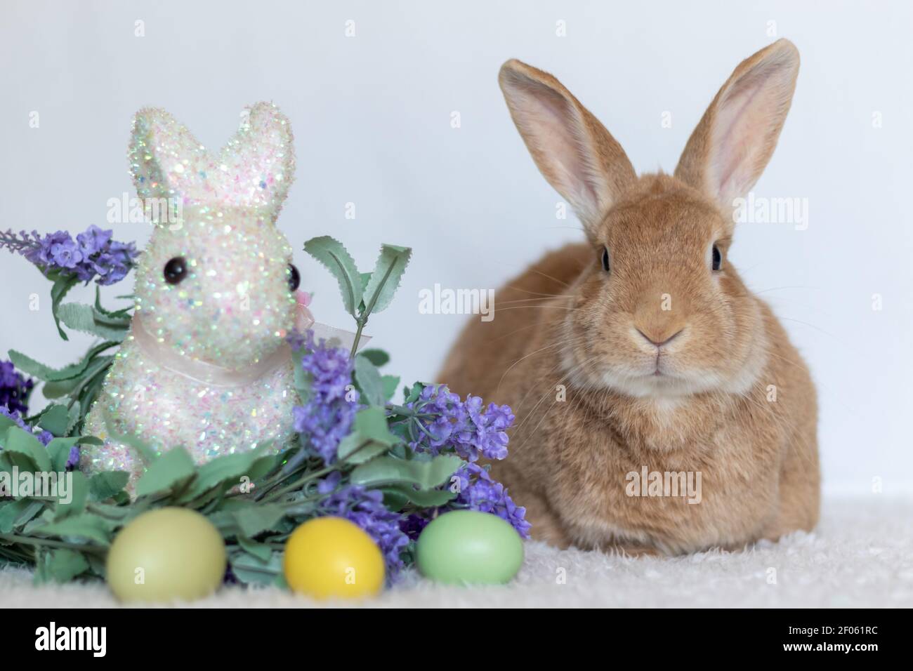 Rufus Rabbit loaf next to purple lilac flowers and Easter Bunny Stock ...