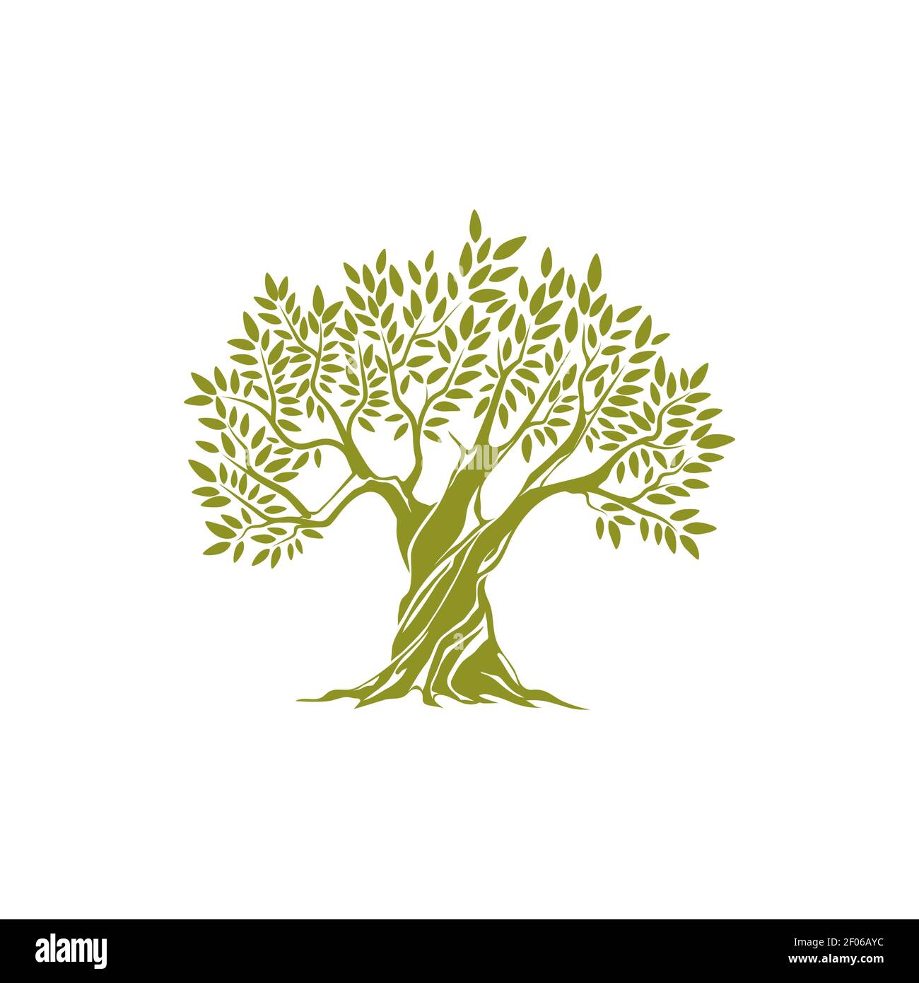 Green tree extra virgin olive oil symbol isolated Stock Vector