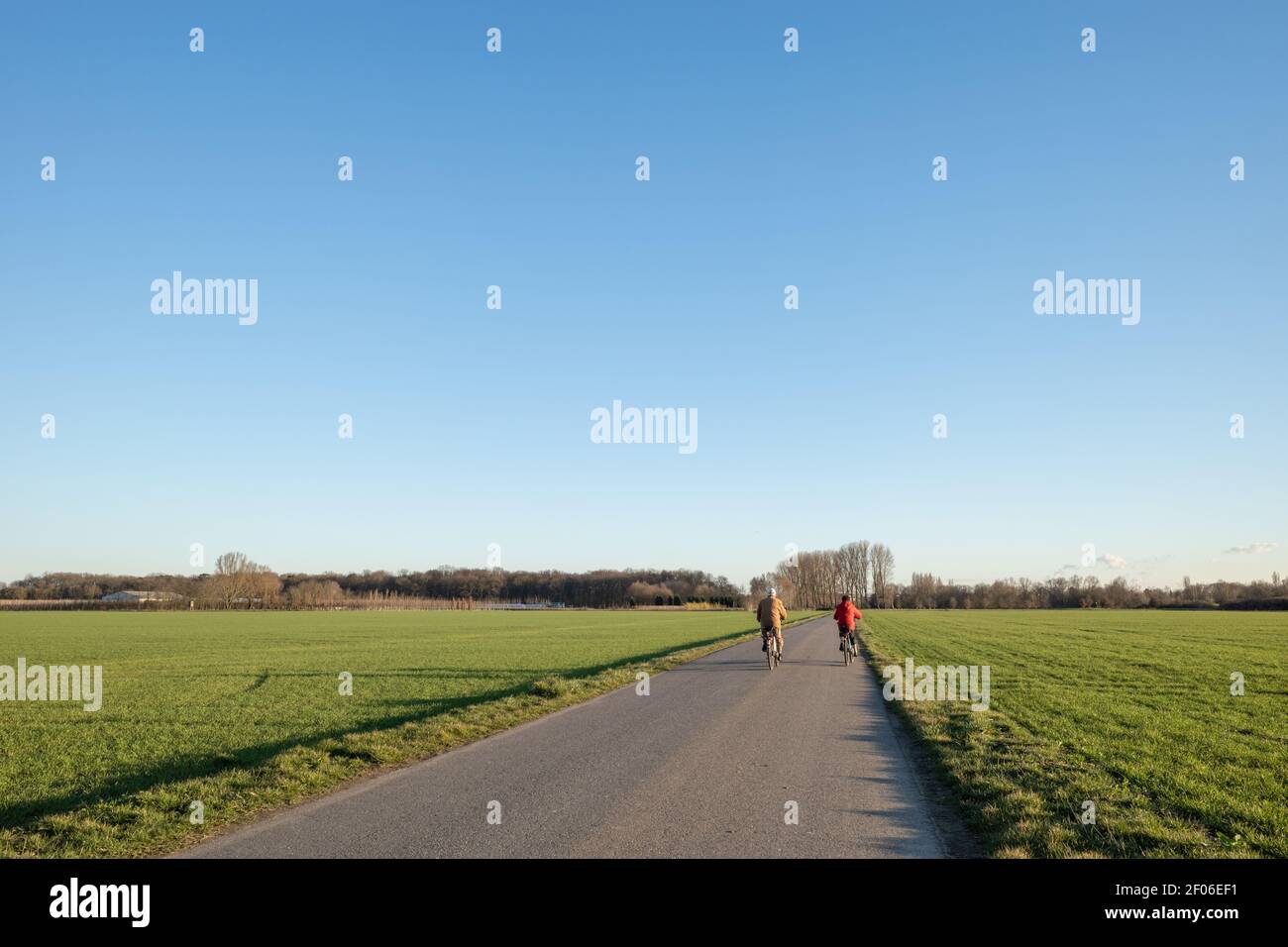 Outdoor sunny view of cyclists ride a bicycle on small road in suburb area surrounded with green agricultural field spring season against blue sky. Stock Photo
