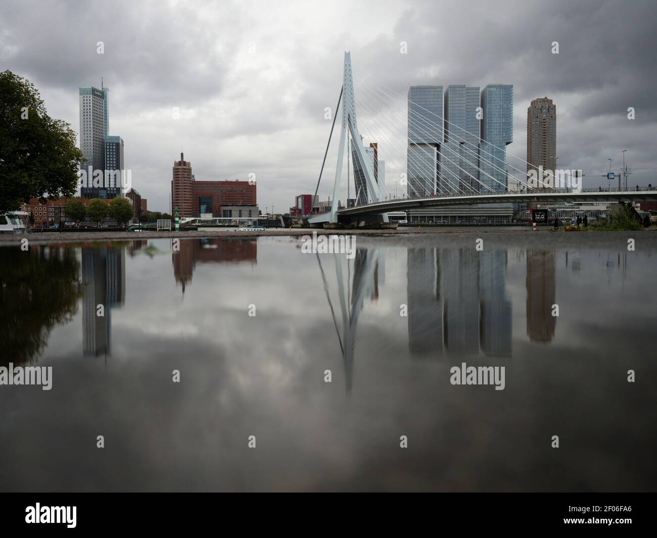 Dist Rott Stri Puddle pond mirror reflection of Erasmus bridge Erasmusbrug with high ...