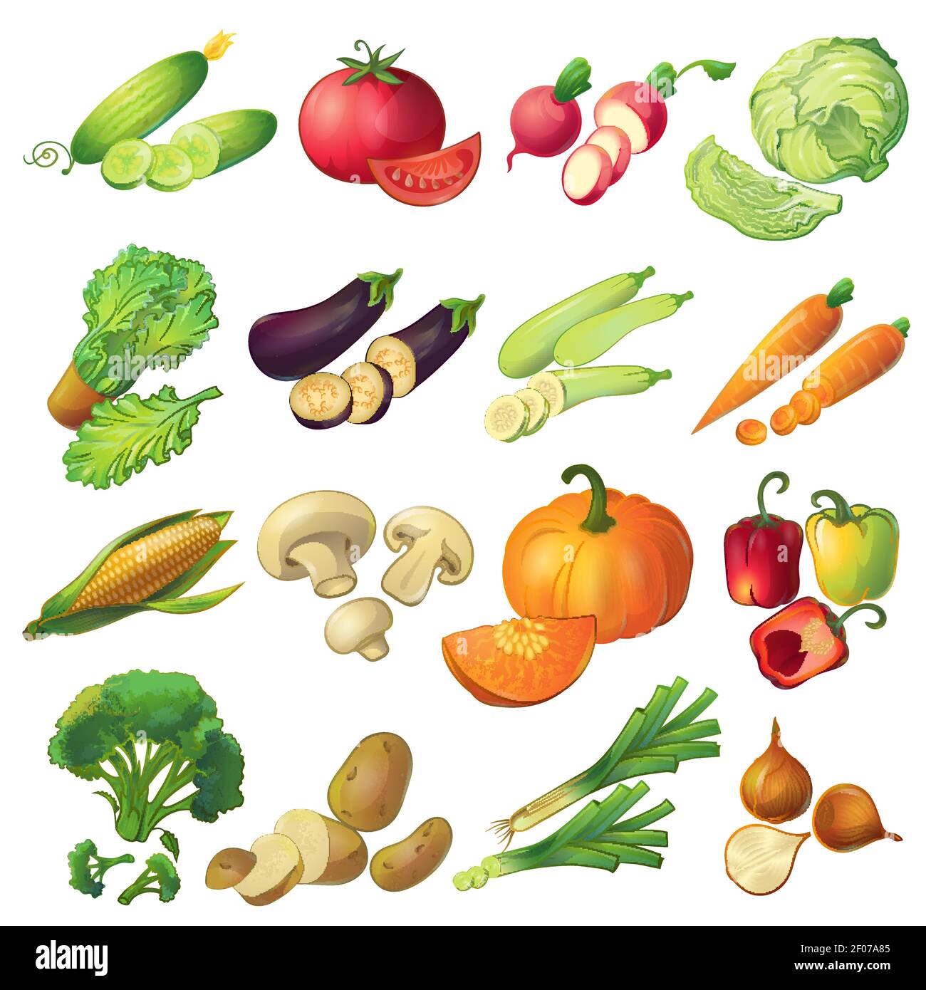 https://c8.alamy.com/comp/2F07A85/sixteen-isolated-realistic-cartoon-ripe-vegetable-icons-set-colorful-with-slices-on-blank-background-flat-vector-illustration-2F07A85.jpg