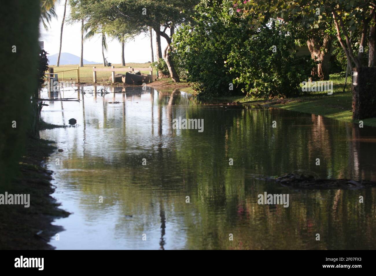 Tsunami in maui