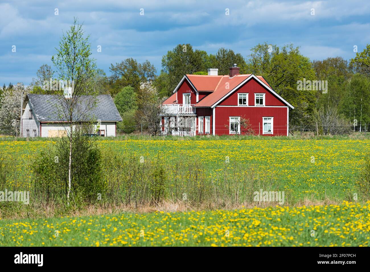 Rwd wooden house in Sweden and fresh green in spring Stock Photo