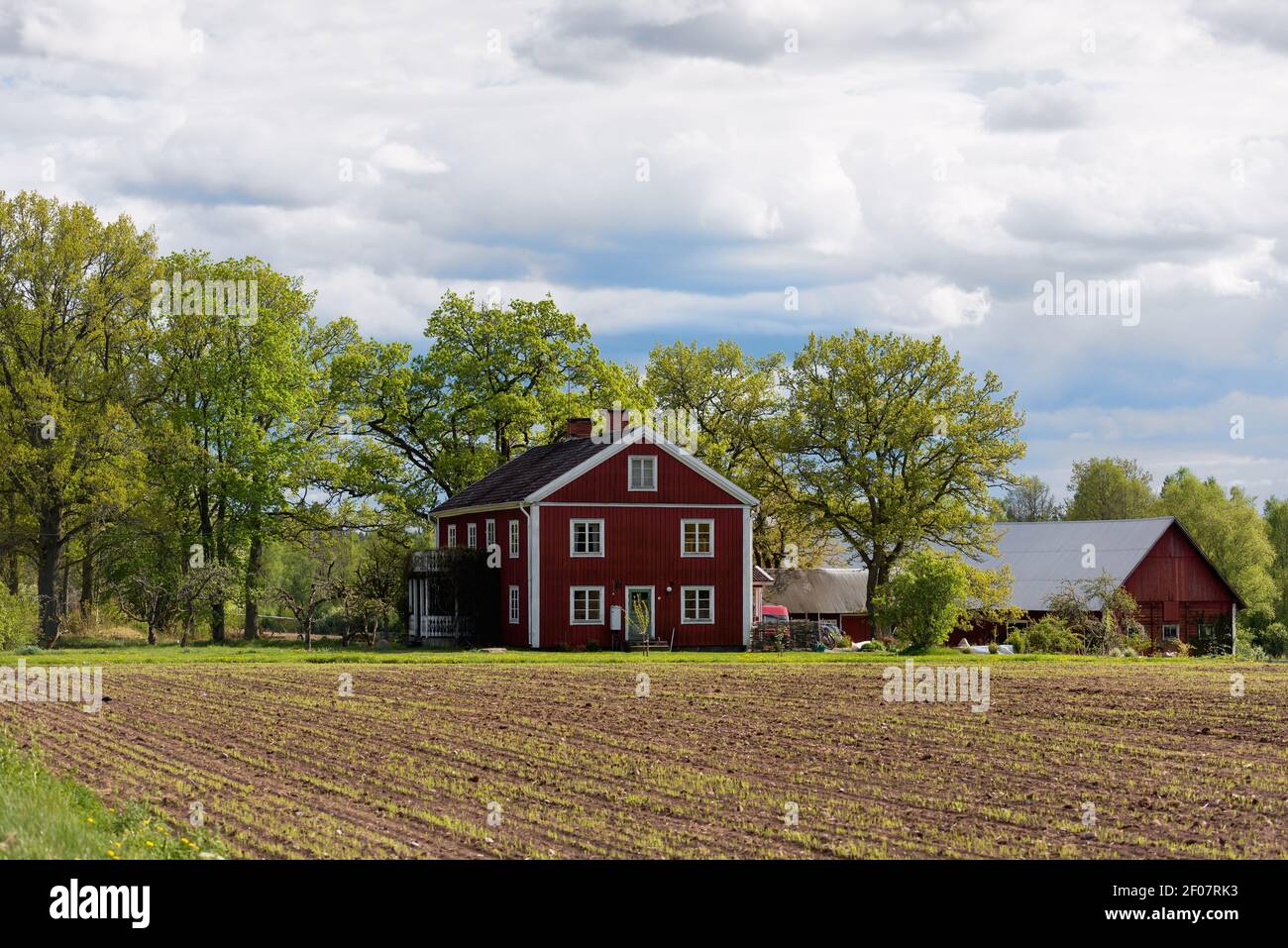 Red wooden farmhouse in Sweden. Stock Photo