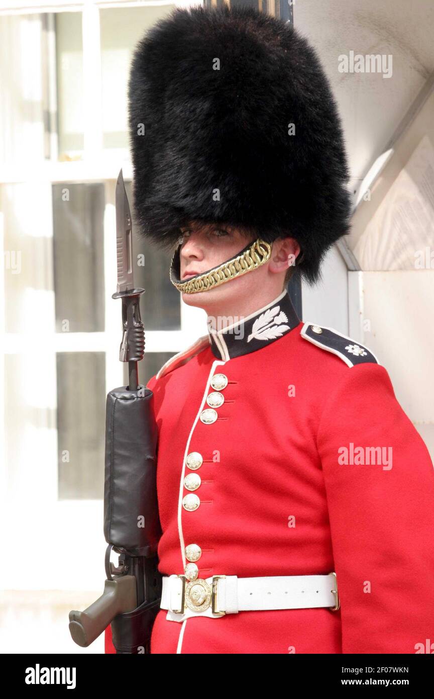 Guard in bearskin hat High Resolution 