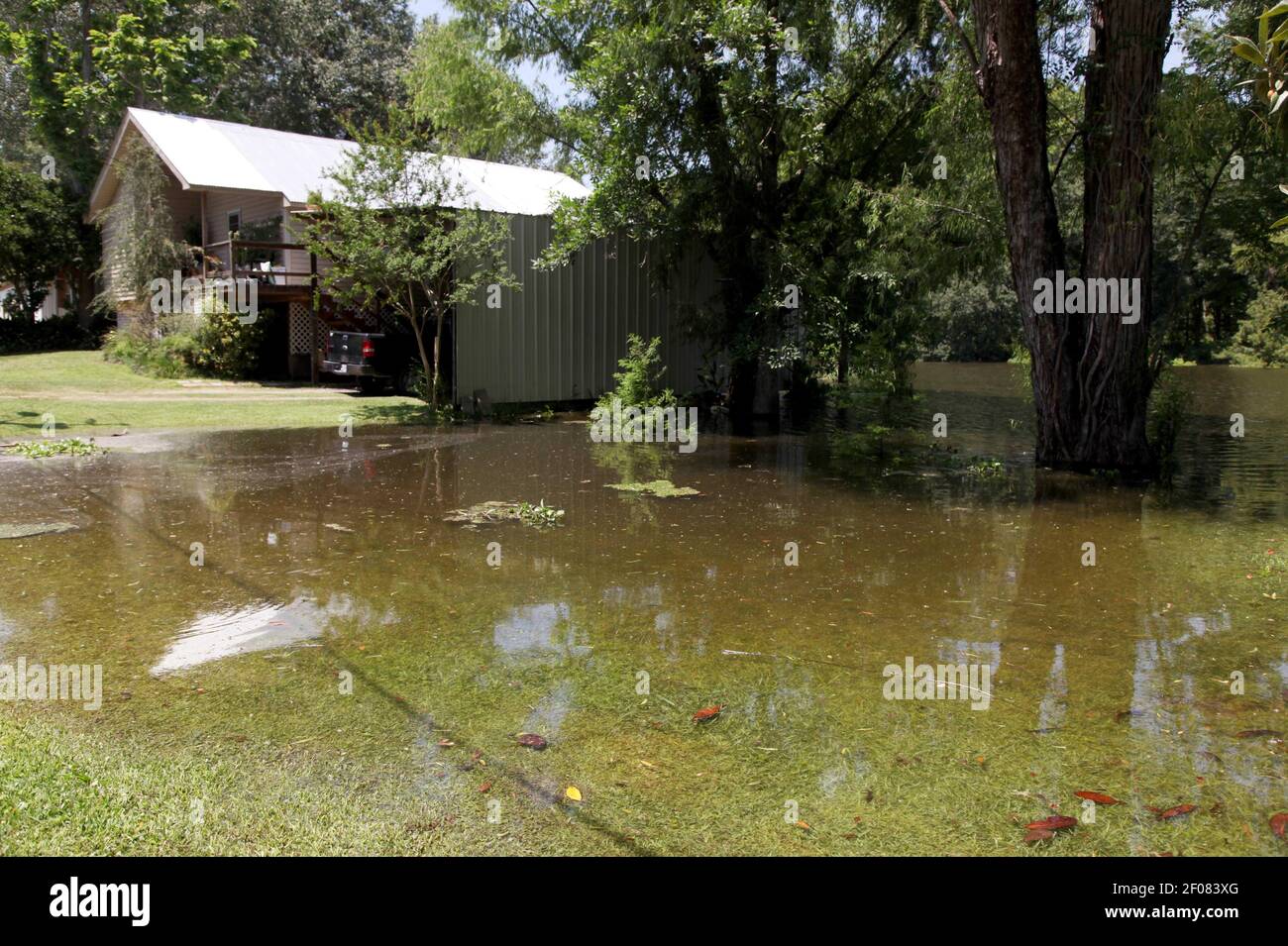 18 May 2011. Butte LaRose, Saint Martin Parish, Louisiana, USA